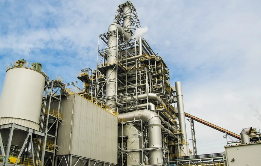 Biomass energy production plant
